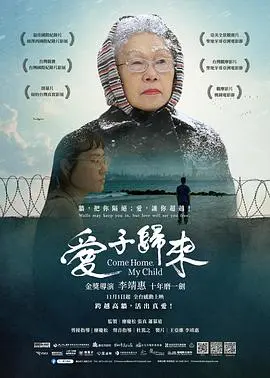 《爱子归来》：感人至深的亲情救赎，找寻失落的爱