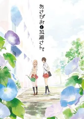 《牵牛花与加濑同学。》：一场怦然心动的百合恋歌，唯美绽放！