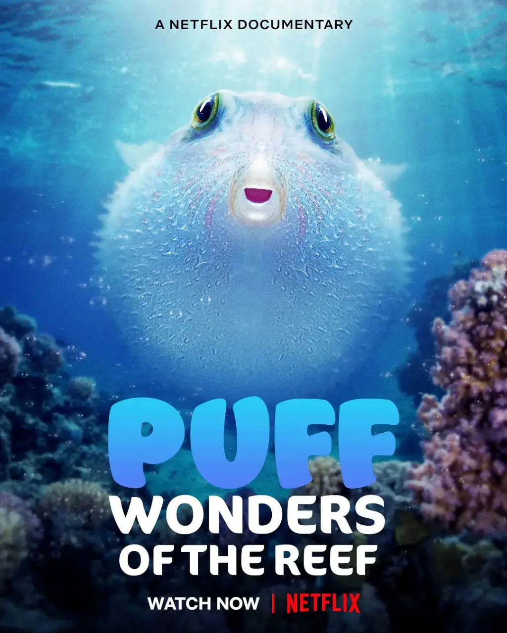 潜入《河豚之家》：揭秘神奇珊瑚礁的秘密，一场视觉盛宴！