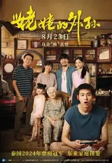 《姥姥的外孙》：一场跨越世代的温暖相遇，笑泪交织的光阴故事，治愈你的不确定