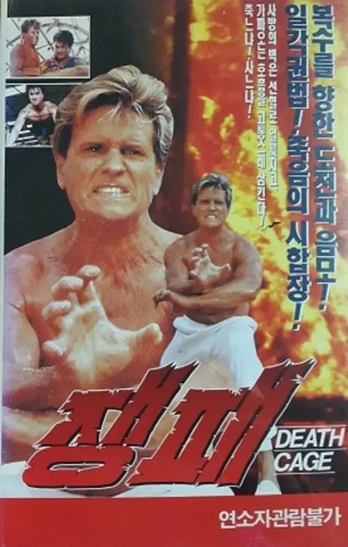 《搏击英雄》：拳台上的热血传奇，普通人的逆袭之路，一部触及灵魂的励志电影