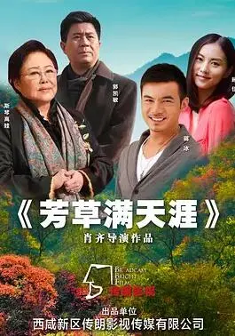 《芳草满天涯》：穿越时空的风，吹拂不变的乡愁与深情