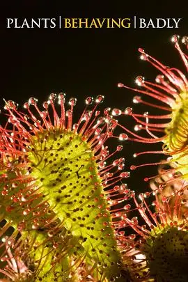 《植物也坏坏》：当绿叶有了野心，一场颠覆想象的生态惊悚冒险启程！